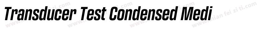 Transducer Test Condensed Medium字体转换